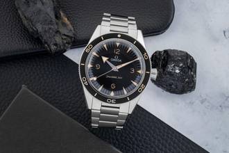  Omega Seamaster 300 Master Co-Axial Edelstahl Ref. 234.30.41.21.01.001 