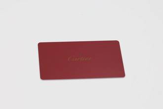 Thumbnail von Cartier Santos 100 stainless steel / titanium automatic Ref. W2020010 papers