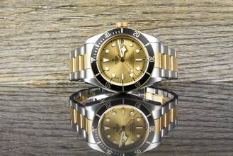 Thumbnail von Tudor Black Bay S&G Heritage S&G 79733N-0004 Champagne Sunray-Dial unpoliert B&P 2021