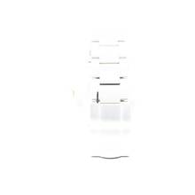 Thumbnail von Rolex Oyster Perpetual 41 100 Year Anniversary NEW '26