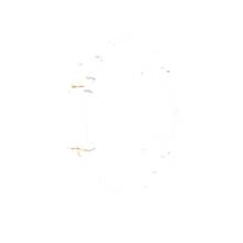 Thumbnail von Rolex GMT-Master II Gold/Steel 116713LN
