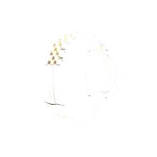 Thumbnail von Rolex Datejust 36 Steel / Gold Jubilee Fluted Wimbledon