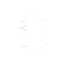 Thumbnail von Rolex Datejust II Gold/Steel Fluted Wimbledon Dial