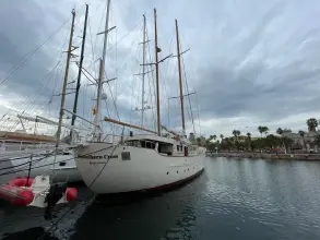 Thumbnail von Custom Tony Turner Sailing Yacht