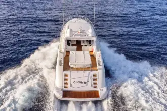 Thumbnail von Mangusta 72