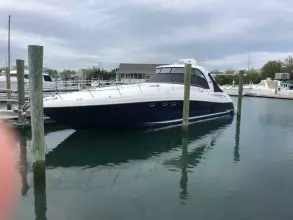 Thumbnail von Sea Ray 52 Sundancer Daddy's Money