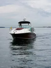 Thumbnail von Sea Ray 320 Sundancer  AHHH RESTED