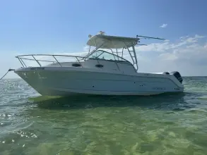 Thumbnail von Robalo R305 WA