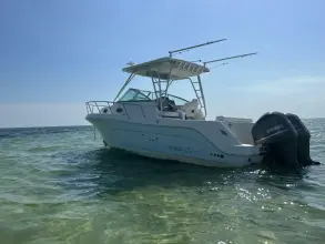 Thumbnail von Robalo R305 WA
