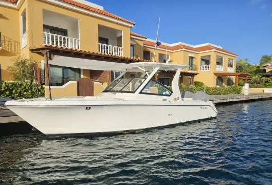Edgewater 262 CX