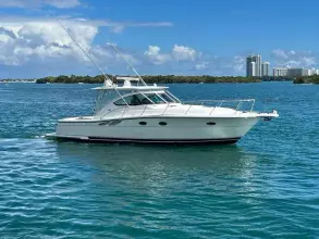 Thumbnail von Tiara Yachts 38 Open
