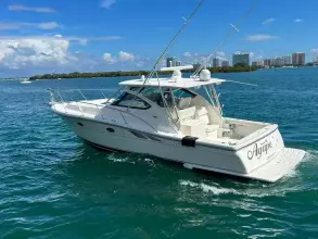 Thumbnail von Tiara Yachts 38 Open