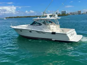 Thumbnail von Tiara Yachts 38 Open