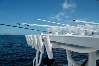 Thumbnail von Invincible 46 Catamaran