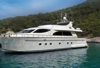 Falcon 86 1660