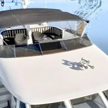 Thumbnail von Vic Franck 65 Pilothouse