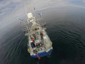 Thumbnail von Blondecell Simon Rogers Cutter Rigged One Design SONG OF THE WHALE
