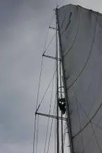 Thumbnail von Blondecell Simon Rogers Cutter Rigged One Design SONG OF THE WHALE