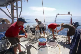 Thumbnail von Blondecell Simon Rogers Cutter Rigged One Design SONG OF THE WHALE