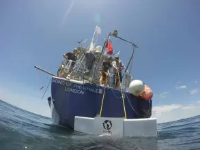Thumbnail von Blondecell Simon Rogers Cutter Rigged One Design SONG OF THE WHALE