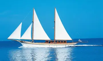 HALKITIS URANIA 101 HERMINA