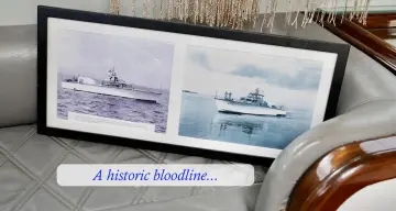 Thumbnail von Custom 	MOTOR YACHT Aviator