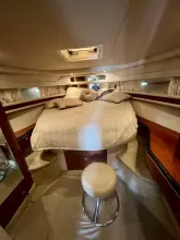 Thumbnail von Sea Ray 460 Sundancer Party of 9