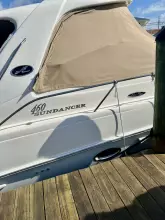 Thumbnail von Sea Ray 460 Sundancer Party of 9