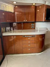 Thumbnail von Sea Ray 460 Sundancer Party of 9