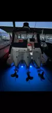 Thumbnail von Sea Ray 400 SEDAN BRIDGE