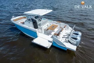 Thumbnail von Beneteau Flyer 10