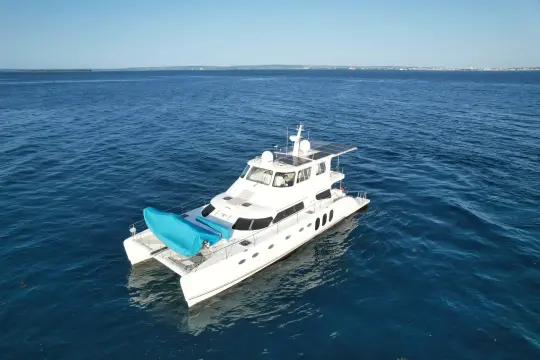 Powerplay Power Cat Albatross