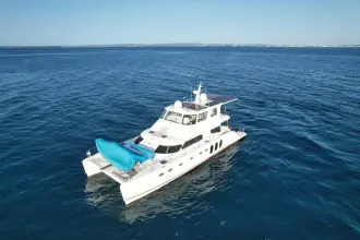 Powerplay Power Cat Albatross