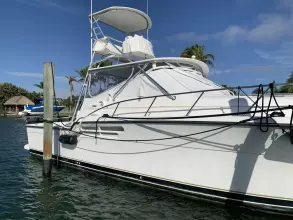 Thumbnail von Tiara Yachts 43 Open