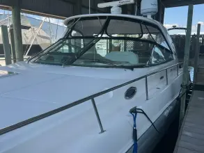 Thumbnail von Sea Ray 460 Sundancer