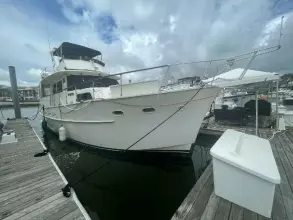 Thumbnail von Hatteras 50 Motor Yacht Incredible
