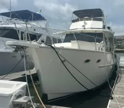 Thumbnail von Hatteras 50 Motor Yacht Incredible
