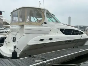 Thumbnail von Sea Ray 40 Motor Yacht Knot Worthy