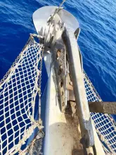 Thumbnail von Joubert Custom Trimaran Conan