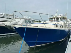 Thumbnail von Dettling Express Cruiser 51 Blue Zone