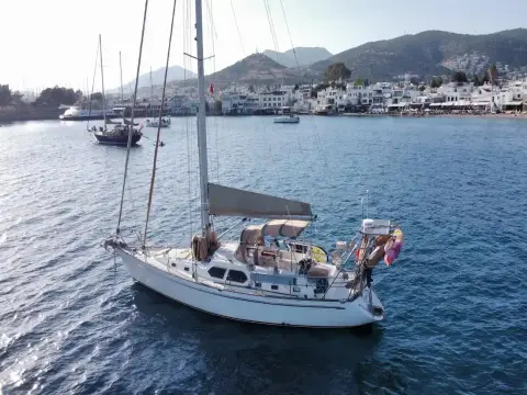 Tayana 48