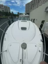 Thumbnail von Sea Ray 420 Sundancer Lucky Duck