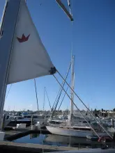 Thumbnail von Jeanneau Sun Odyssey 440