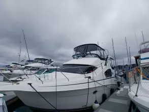 Thumbnail von Silverton 35 Motor Yacht BLIND SQUIRREL
