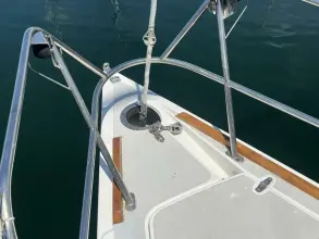 Thumbnail von Santa Cruz 52 MEDUSA