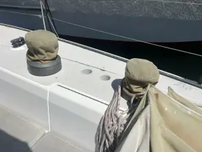 Thumbnail von Santa Cruz 52 MEDUSA