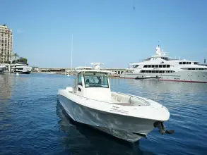 Thumbnail von Boston Whaler 370 Outrage EXPLORER II