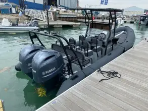 Ballistic  LS 78