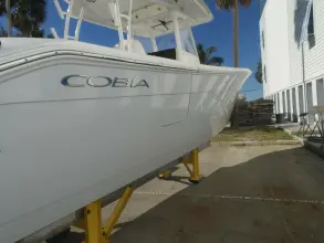 Thumbnail von Cobia 320 CC