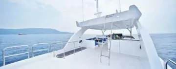 Thumbnail von Johnson 80 JOHNSON 80 FLYBRIDGE